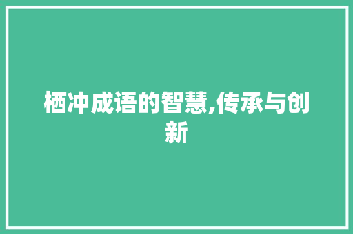 栖冲成语的智慧,传承与创新