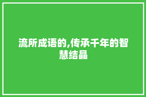 流所成语的,传承千年的智慧结晶