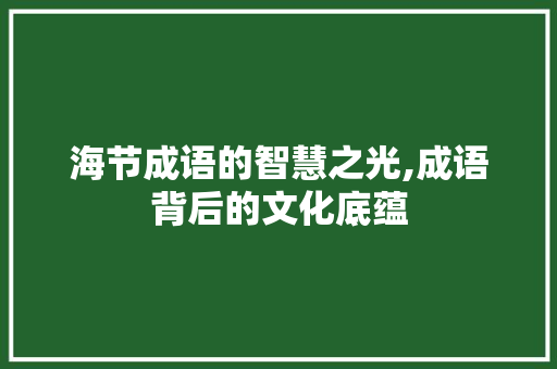 海节成语的智慧之光,成语背后的文化底蕴