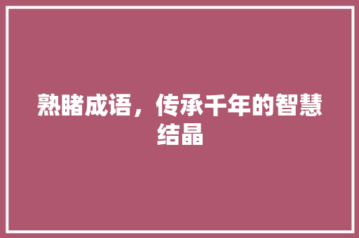 熟睹成语，传承千年的智慧结晶