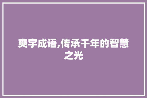 爽宇成语,传承千年的智慧之光