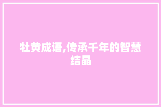 牡黄成语,传承千年的智慧结晶