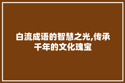 白流成语的智慧之光,传承千年的文化瑰宝