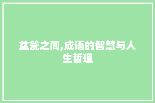 盆瓮之间,成语的智慧与人生哲理 范文资源