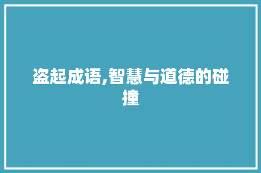 盗起成语,智慧与道德的碰撞