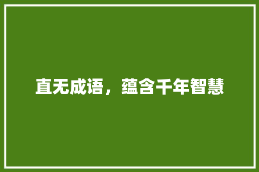 直无成语，蕴含千年智慧