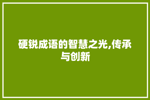 硬锐成语的智慧之光,传承与创新