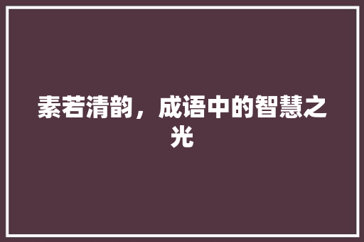 素若清韵，成语中的智慧之光