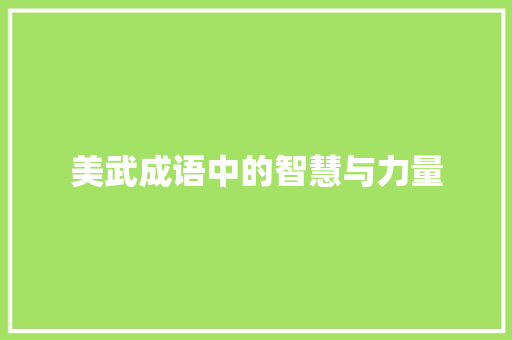 美武成语中的智慧与力量