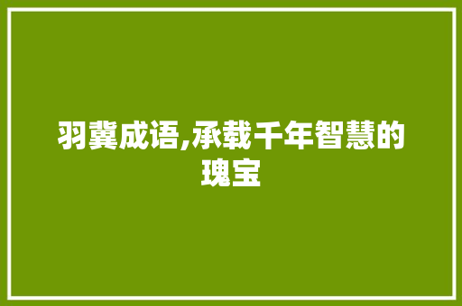 羽冀成语,承载千年智慧的瑰宝