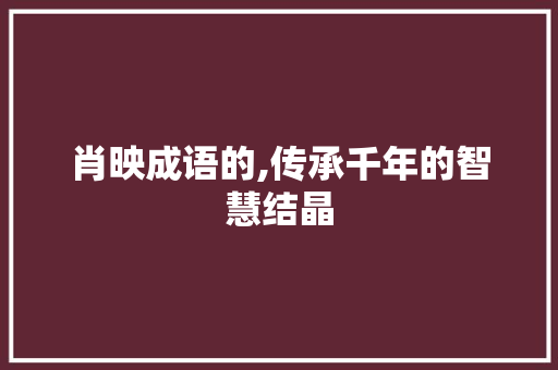 肖映成语的,传承千年的智慧结晶