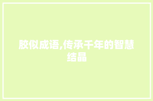 胶似成语,传承千年的智慧结晶