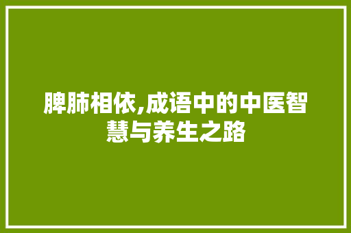 脾肺相依,成语中的中医智慧与养生之路