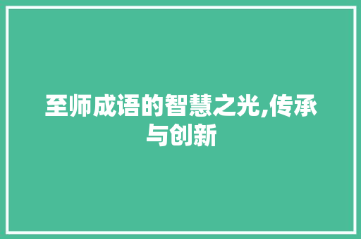 至师成语的智慧之光,传承与创新