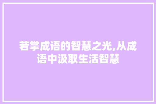 若掌成语的智慧之光,从成语中汲取生活智慧