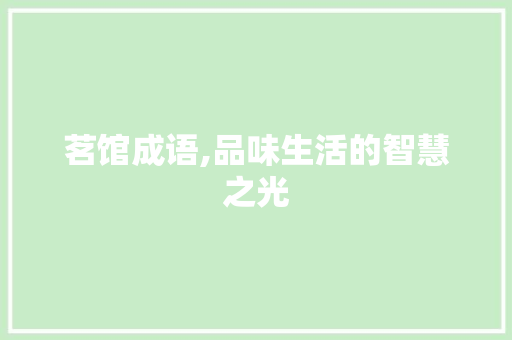 茗馆成语,品味生活的智慧之光