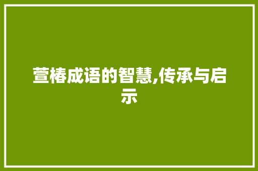 萱椿成语的智慧,传承与启示