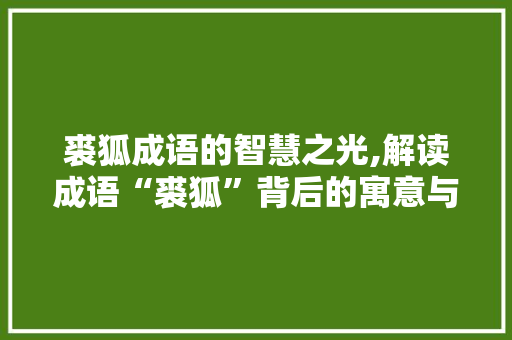 裘狐成语的智慧之光,解读成语“裘狐”背后的寓意与启示
