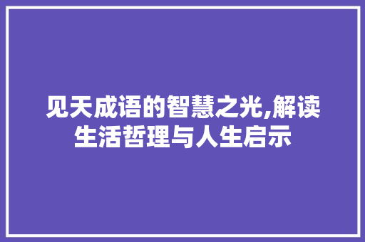 见天成语的智慧之光,解读生活哲理与人生启示
