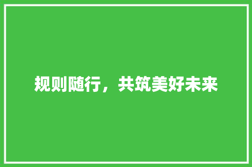 规则随行，共筑美好未来