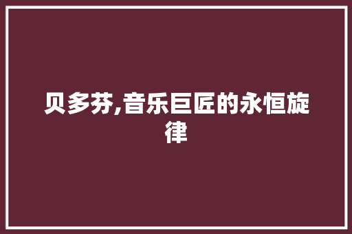 贝多芬,音乐巨匠的永恒旋律