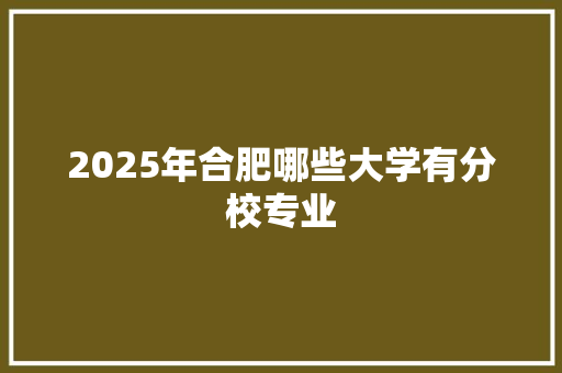 2025年合肥哪些大学有分校专业