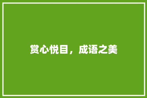 赏心悦目，成语之美