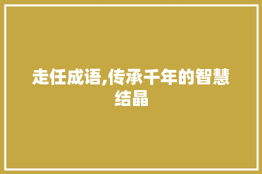 走任成语,传承千年的智慧结晶