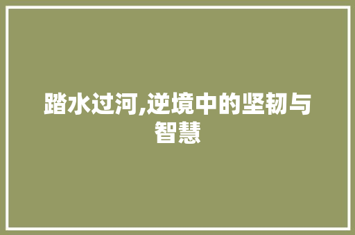 踏水过河,逆境中的坚韧与智慧
