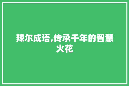 辣尔成语,传承千年的智慧火花
