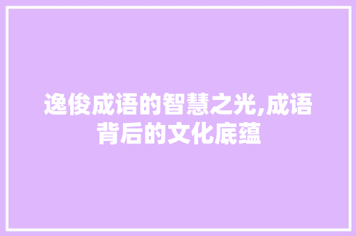 逸俊成语的智慧之光,成语背后的文化底蕴