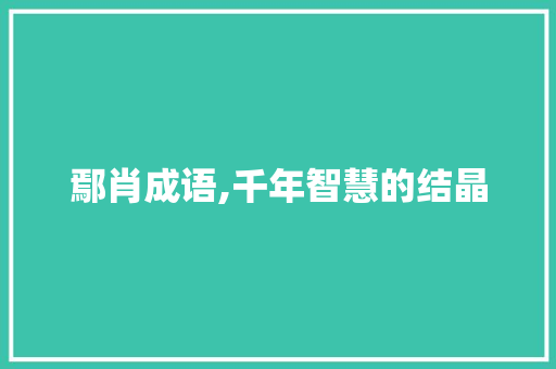 鄢肖成语,千年智慧的结晶