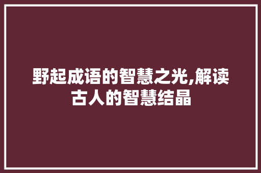 野起成语的智慧之光,解读古人的智慧结晶