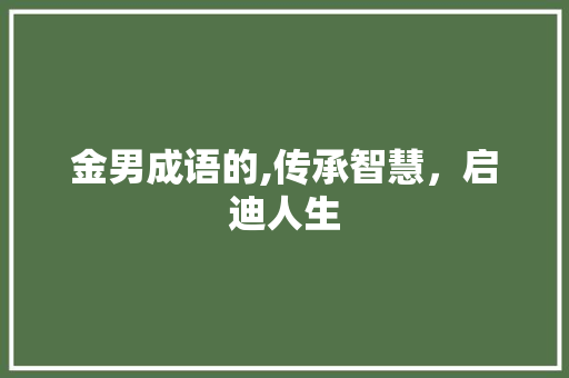 金男成语的,传承智慧，启迪人生