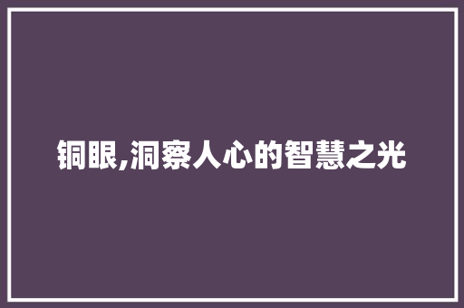 铜眼,洞察人心的智慧之光