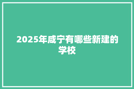 2025年咸宁有哪些新建的学校