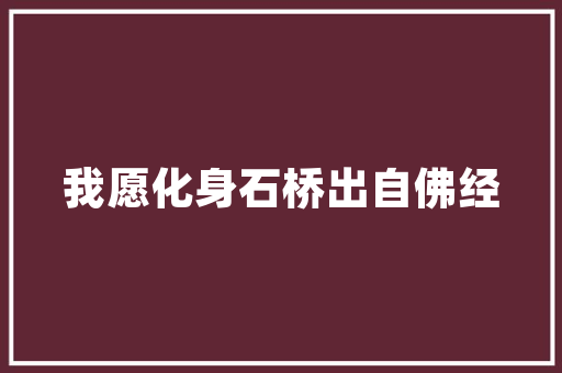 鞭策前行,鞭策成语的内涵及其启示