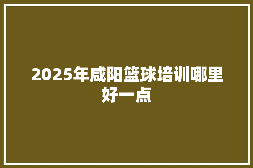 2025年咸阳篮球培训哪里好一点