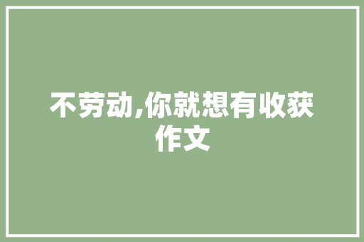 风片成语,传承千年的智慧火花