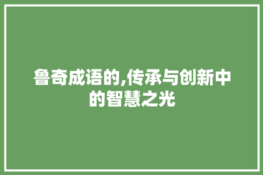 鲁奇成语的,传承与创新中的智慧之光