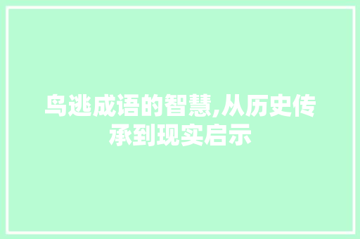 鸟逃成语的智慧,从历史传承到现实启示