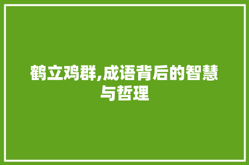 鹤立鸡群,成语背后的智慧与哲理