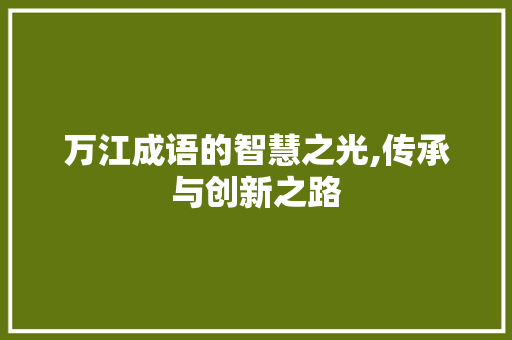 万江成语的智慧之光,传承与创新之路