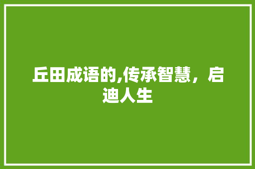 丘田成语的,传承智慧，启迪人生