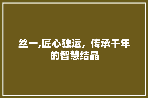 丝一,匠心独运，传承千年的智慧结晶