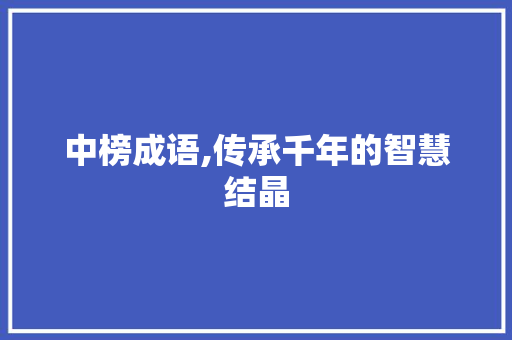 中榜成语,传承千年的智慧结晶