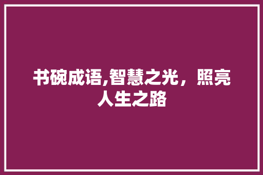 书碗成语,智慧之光，照亮人生之路