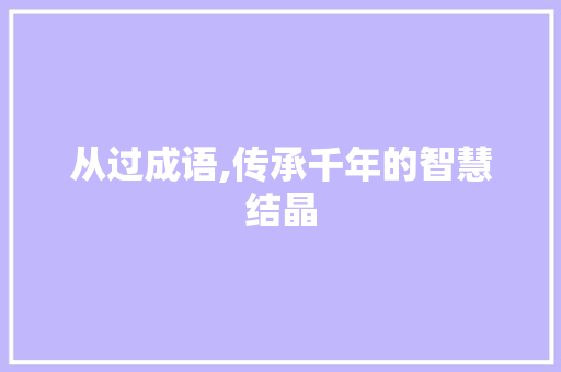 从过成语,传承千年的智慧结晶