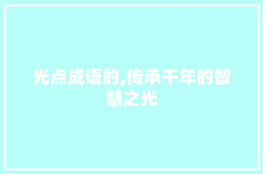 光点成语的,传承千年的智慧之光