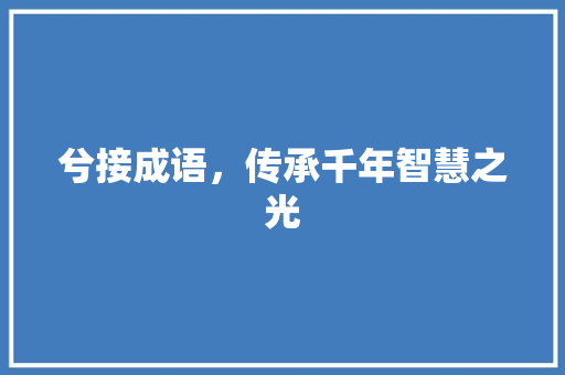 兮接成语，传承千年智慧之光
